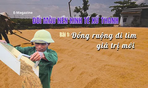 Đổi màu nền kinh tế xứ Thanh - Bài 1: Đồng ruộng đi tìm giá trị mới