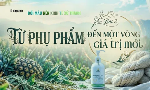 Đổi màu nền kinh tế xứ Thanh - Bài 2: Từ phụ phẩm đến một vòng giá trị mới