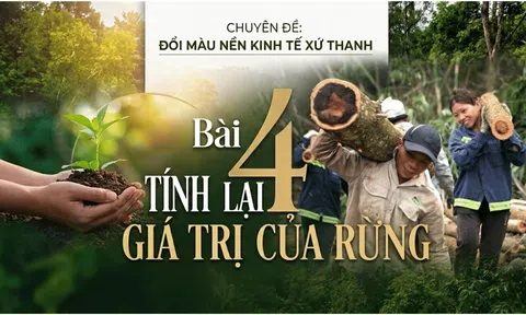 Đổi màu nền kinh tế xứ Thanh - Bài 4: Tính lại giá trị của rừng