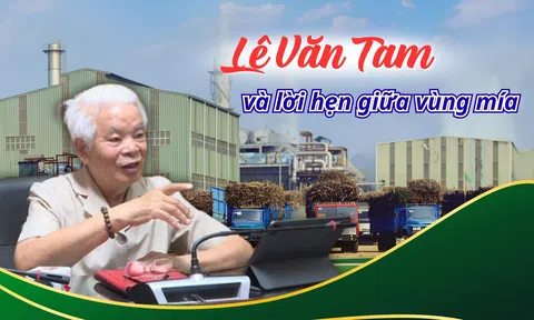 Lê Văn Tam và lời hẹn giữa vùng mía