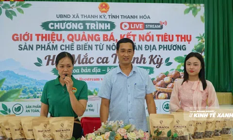 Phó Chủ tịch xã lên sóng bán mắc ca ở Thanh Kỳ