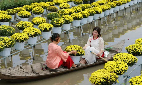 Đồng Tháp: Kết nối giao thương, mở rộng thị trường cho ngành hàng hoa - kiểng