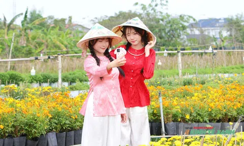 Doanh thu Festival Hoa - Kiểng Sa Đéc lần II tăng 5 lần so với lần I