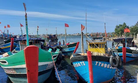 Đồng Tháp: Hỗ trợ giải bản tàu cá không còn nhu cầu khai thác