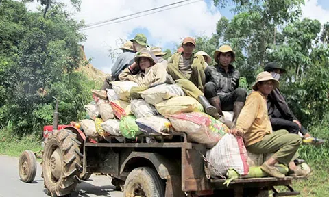 Tri thức trồng, chế biến cà phê ở Đắk Lắk