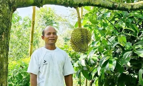 Chương trình mục tiêu quốc gia giảm nghèo bền vững tại Khánh Hòa