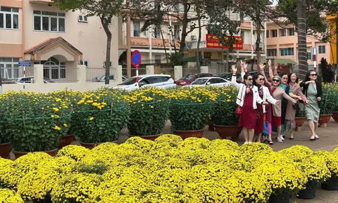 Sắc xuân tại các làng hoa trên cao nguyên Đắk Lắk