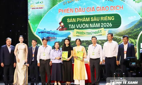 Đắk Lắk: Đấu giá thành công lô sầu riêng đầu tiên tại vườn