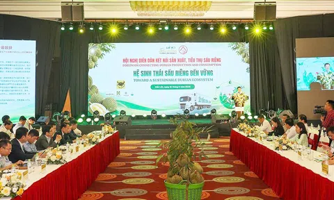 Đắk Lắk hướng tới xây dựng hệ sinh thái sầu riêng bền vững
