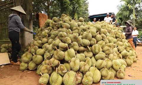 Khơi thông nguồn lực, tiếp sức kinh tế tư nhân bứt phá