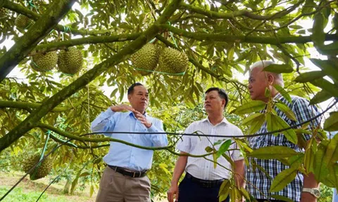 Bước chuyển từ “một cây chủ lực” sang nông nghiệp đa giá trị