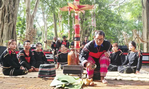 Để hồn Lễ ăn cơm mới mãi ngân vang