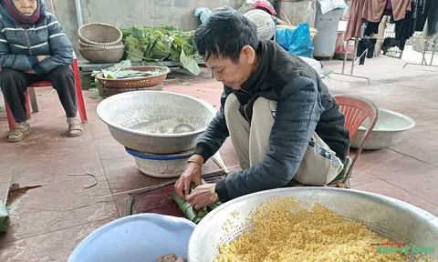 Độc đáo làng nghề gói bánh chưng dịp Tết tại Hải Phòng