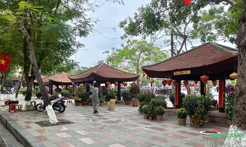 Hải Phòng: Trang trí các quán hoa để đón Tết