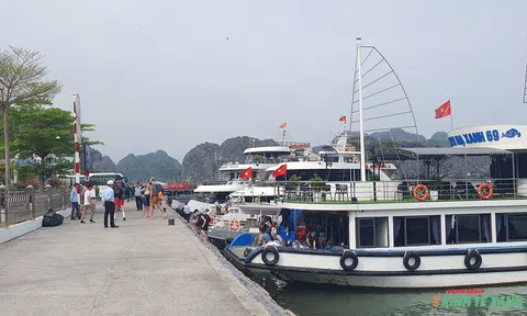 Tập trung phát triển du lịch Cát Bà xanh, bền vững