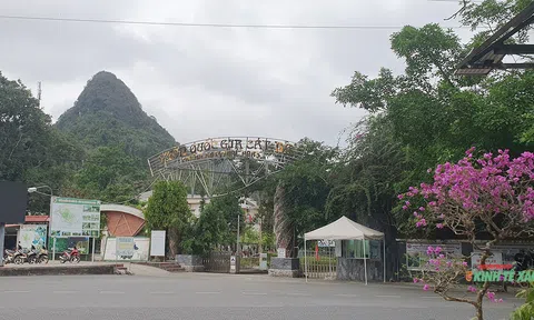 Có 156 loài đặc hữu, nguy cấp, quý hiếm tại Vườn quốc gia Cát Bà