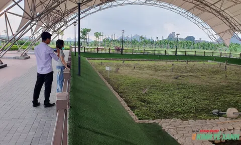 Chứng tích chiến thắng lịch sử trên sông Bạch Đằng