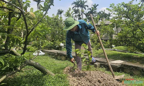 Hoa thơm, quả ngọt trên vùng đất cằn Liên Khê (Hải Phòng)