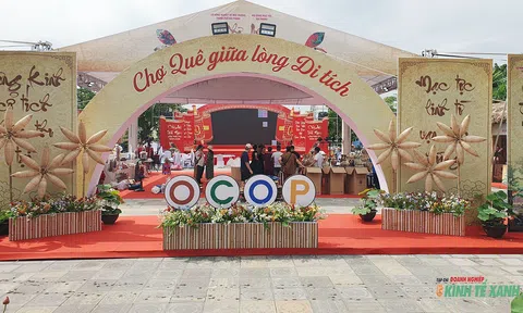 Tái hiện không gian Chợ quê thời Mạc giữa lòng di tích