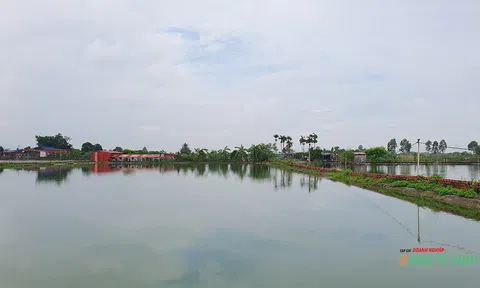 Biến ruộng đất bỏ hoang thành cơ ngơi đem lại thu nhập tiền tỷ mỗi năm