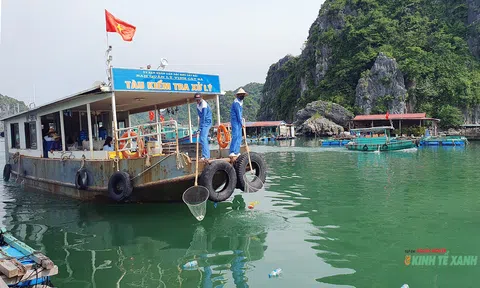 Thu gom, xử lý rác thải trên vịnh Cát Bà: Bảo đảm phát triển xanh, bền vững