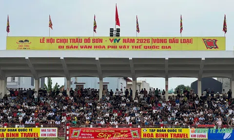 Sắp diễn ra vòng chung kết Lễ hội chọi trâu Đồ Sơn - VTV 2026