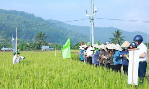 Phường Phạm Sư Mạnh (Hải Phòng) tập huấn quy trình VietGAP đưa sản xuất an toàn đến gần hơn với người dân