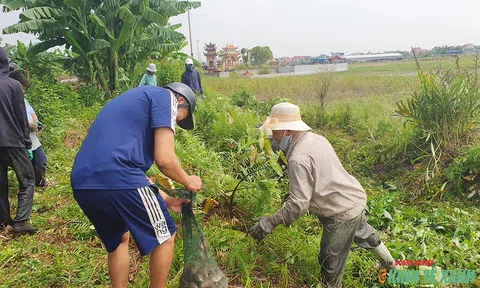 Mùa chuột se Đông về trên đất Tú Đôi