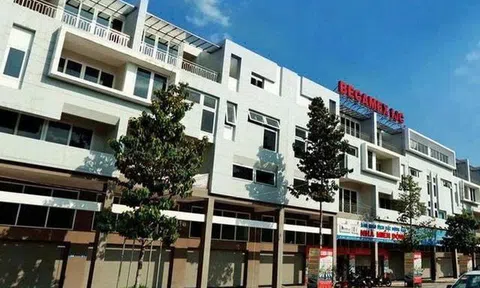 Becamex IJC nâng sở hữu tại Becamex - Bình Phước: Củng cố trụ cột tăng trưởng dài hạn