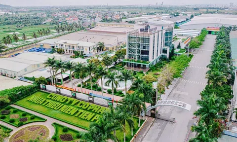 Một “ông lớn” ngành nhựa mạnh tay chi 256 tỷ đồng tạm ứng cổ tức