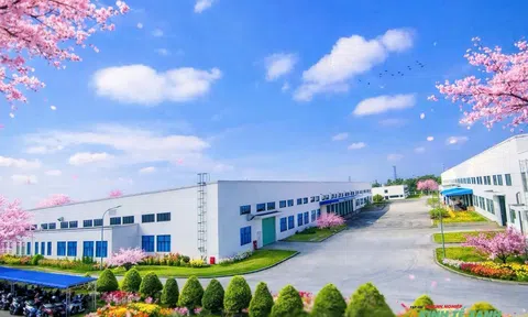 VSIP mở rộng đầu tư, hướng tới 30 khu công nghiệp tại Việt Nam vào năm 2026