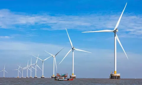 PDP8R và bài toán hiện thực hóa mục tiêu năng lượng: Công nghệ, năng lực và lộ trình cho Việt Nam