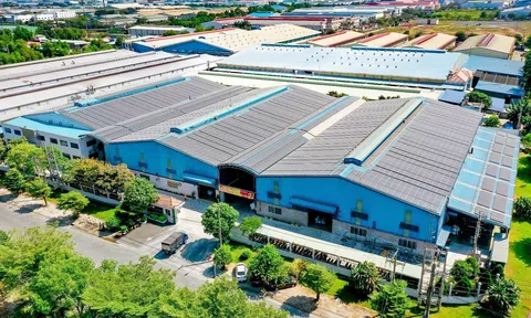 Thị trường năng lượng sạch tại Việt Nam đang bước vào giai đoạn chuyển mình mạnh mẽ