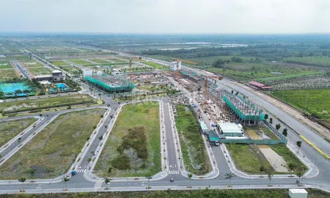 Tandoland - Chủ đầu tư dự án Khu dân cư Mai Bá Hương gánh nợ hơn 6.100 tỷ đồng năm 2025 