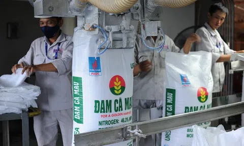 Đạm Cà Mau đặt mục tiêu lợi nhuận 2026 đạt hơn 1.100 tỷ đồng, dự kiến chia cổ tức bằng tiền mặt 20%