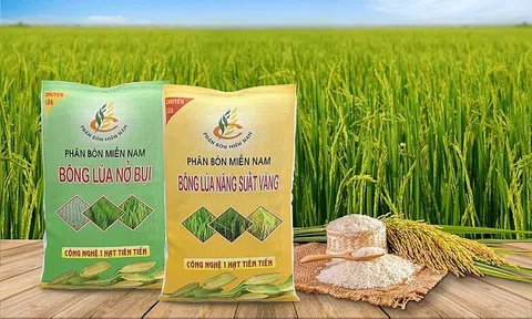 Phân bón Miền Nam đặt mục tiêu lợi nhuận đạt 42 tỷ đồng năm 2026