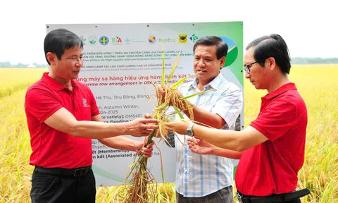 Tháo gỡ “nút thắt” vốn xanh để thúc đẩy cạnh tranh doanh nghiệp