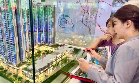 Phú Mỹ Hưng khai trương nhà mẫu Harmonie, tăng lực mở bán đợt 2 với chính sách tài chính ưu Việt