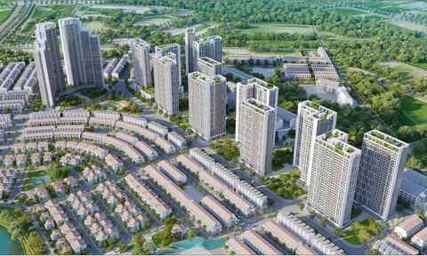 BIM Land bùng nổ lợi nhuận tăng gấp 35 lần, ROE nhảy vọt lên 18,5%