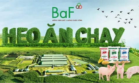 BAF đặt mục tiêu lợi nhuận gần 800 tỷ đồng năm 2026