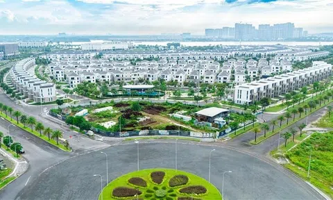 Sức hút của “Đất dụng võ cho nhân tài - NovaGroup” trong chu kỳ tăng tốc mới