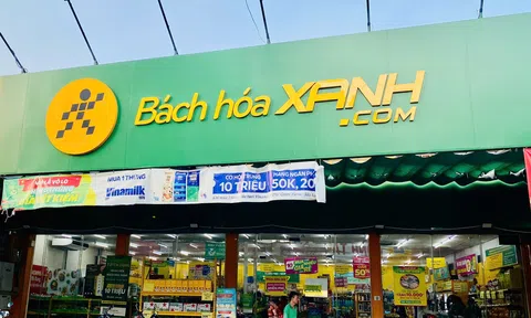 Bách Hóa Xanh báo lãi kỷ lục hơn 380 tỷ đồng trong quý I/2026, tiếp đà phục hồi mạnh mẽ