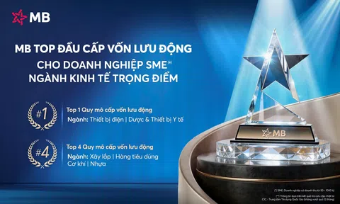 MB – Ngân hàng top đầu Cấp vốn lưu động cho doanh nghiệp SME thuộc ngành kinh tế trọng điểm