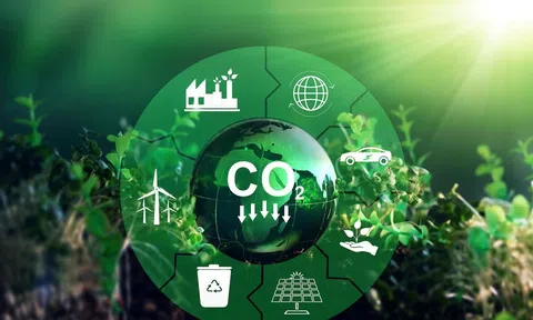 Thúc đẩy tài chính xanh Việt Nam từ cơ chế tín chỉ carbon quốc tế