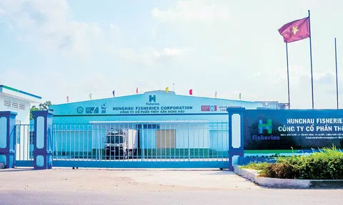 Nông nghiệp Hùng Hậu ghi nhận lợi nhuận sau thuế tăng 20% trong quý I/2026
