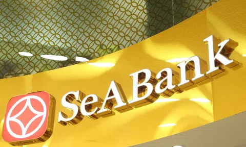 SeABank dự kiến chào bán 40 triệu cổ phiếu ESOP trong năm 2026