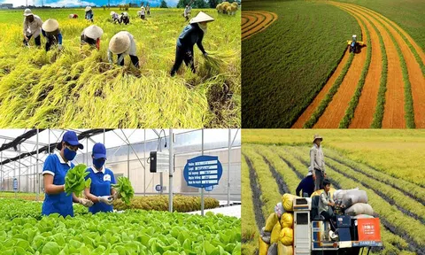 Kiến tạo động lực tăng trưởng mới cho nông nghiệp Việt Nam