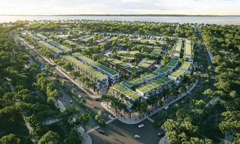 Chuẩn hóa dự án để đón dòng vốn xanh