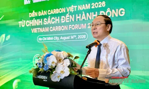 Đưa thị trường carbon từ chính sách vào thực tiễn một cách minh bạch, hiệu quả