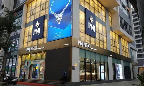 PNJ dự kiến huy động tối đa 8.000 tỷ đồng cho giai đoạn tái thiết